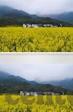 果冻传媒下载app苹果-探索果冻传媒App，苹果设备上的娱乐新选择