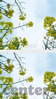 国色天香中文字幕手机在线视频-国色天香，中文字幕手机在线视频的魅力探索